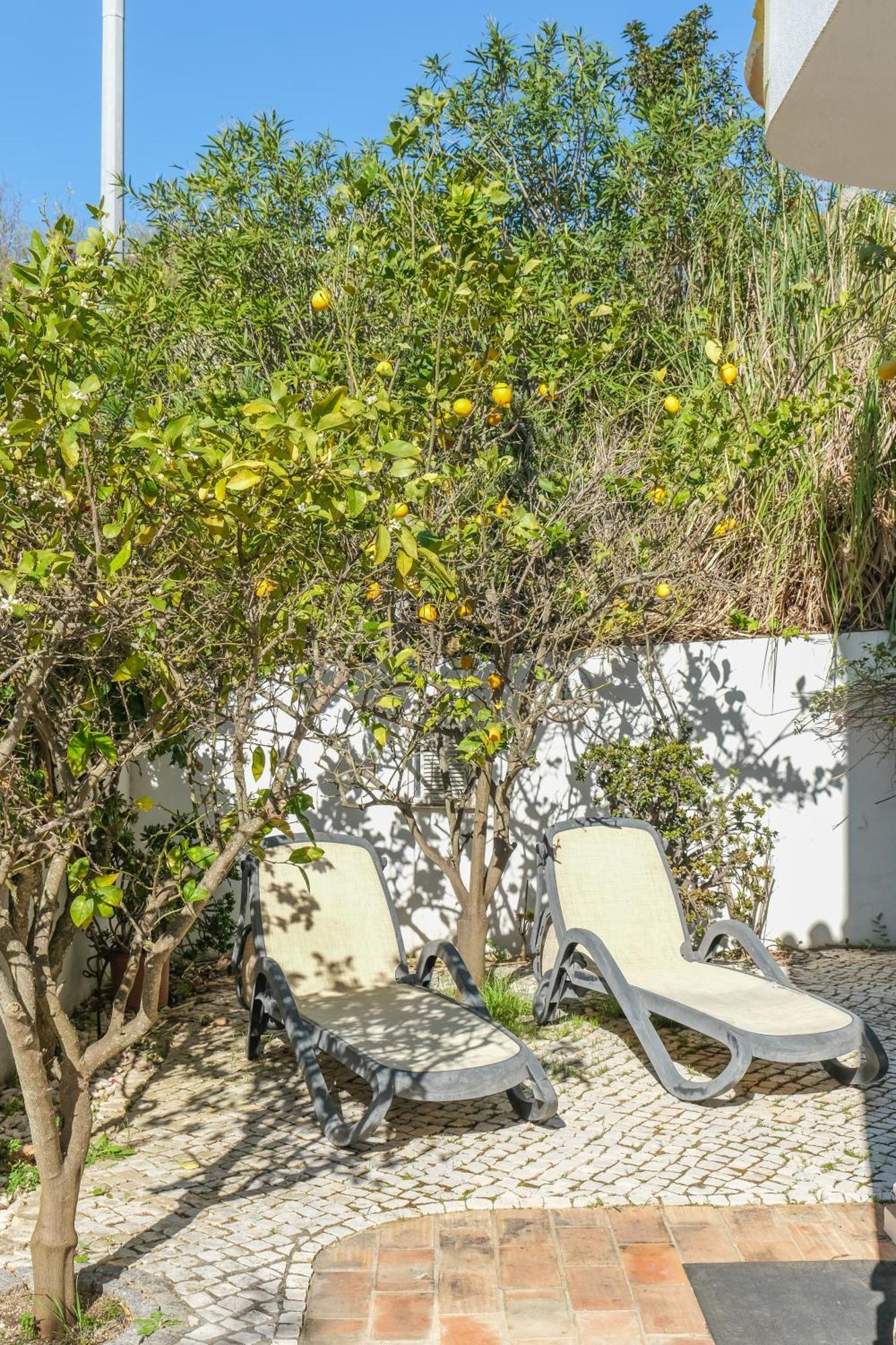 Villa Casa Limonte